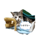 RIOMO（個別スタンプ：3）