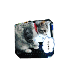 RIOMO（個別スタンプ：7）