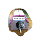 RIOMO（個別スタンプ：15）
