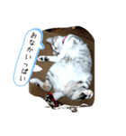 RIOMO（個別スタンプ：16）