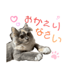 えり姫の日常③（個別スタンプ：3）