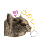 えり姫の日常③（個別スタンプ：6）
