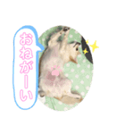 クラインくんのお話1（個別スタンプ：2）
