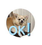 クラインくんのお話1（個別スタンプ：5）