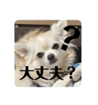 クラインくんのお話1（個別スタンプ：7）