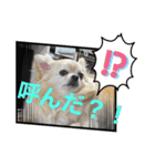 クラインくんのお話2（個別スタンプ：1）