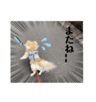 クラインくんのお話2（個別スタンプ：4）
