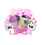 クラインくんのお話3（個別スタンプ：2）