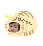 おしぼりスタンプに（個別スタンプ：4）