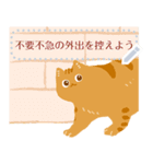 対策猫（個別スタンプ：15）