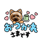 ショコロン＆フレンズ（個別スタンプ：3）