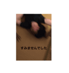 コヘちゃん1（個別スタンプ：1）