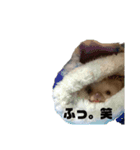 お気楽様（個別スタンプ：1）