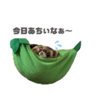 お気楽様（個別スタンプ：2）