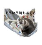 お気楽様（個別スタンプ：5）