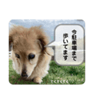 お気楽様（個別スタンプ：7）