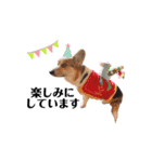 コーギー犬レオの日常2（個別スタンプ：4）