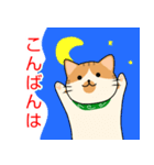 ドロボー顔ねこ（個別スタンプ：3）