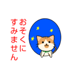 ドロボー顔ねこ（個別スタンプ：6）