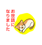 ドロボー顔ねこ（個別スタンプ：12）