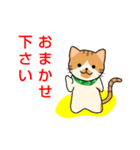 ドロボー顔ねこ（個別スタンプ：13）