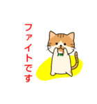 ドロボー顔ねこ（個別スタンプ：14）