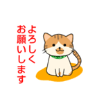 ドロボー顔ねこ（個別スタンプ：17）