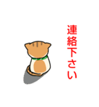 ドロボー顔ねこ（個別スタンプ：20）