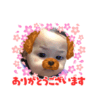 おうちゃん(挨拶)（個別スタンプ：8）