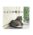ヒデシマタカシの手作りスタンプ2（個別スタンプ：9）