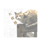 ヒデシマタカシの手作りスタンプ2（個別スタンプ：12）
