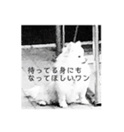 ヒデシマタカシの手作りスタンプ2（個別スタンプ：14）