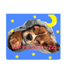 みーたん❤️Part①（個別スタンプ：1）