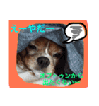 みーたん❤️Part①（個別スタンプ：2）