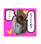 みーたん❤️Part①（個別スタンプ：3）