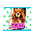 みーたん❤️Part①（個別スタンプ：5）