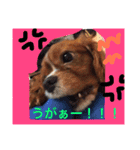 みーたん❤️Part①（個別スタンプ：8）