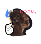 みーたん❤️Part①（個別スタンプ：10）