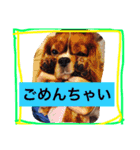みーたん❤️Part①（個別スタンプ：11）