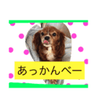 みーたん❤️Part①（個別スタンプ：13）
