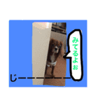 みーたん❤️Part①（個別スタンプ：15）