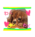 みーたん❤️Part①（個別スタンプ：16）