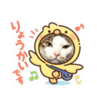 マロたちでひとこと（個別スタンプ：14）