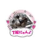 ラプたん（個別スタンプ：2）
