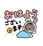 ラプたん（個別スタンプ：3）