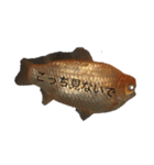 金魚の大冒険（個別スタンプ：3）