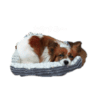 O家mamaスタンプ！（個別スタンプ：1）