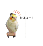 O家mamaスタンプ！（個別スタンプ：4）