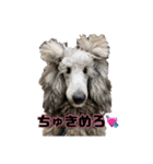 4本足の仲間たち❸（個別スタンプ：1）