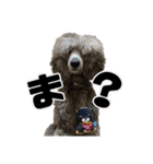 4本足の仲間たち❸（個別スタンプ：2）